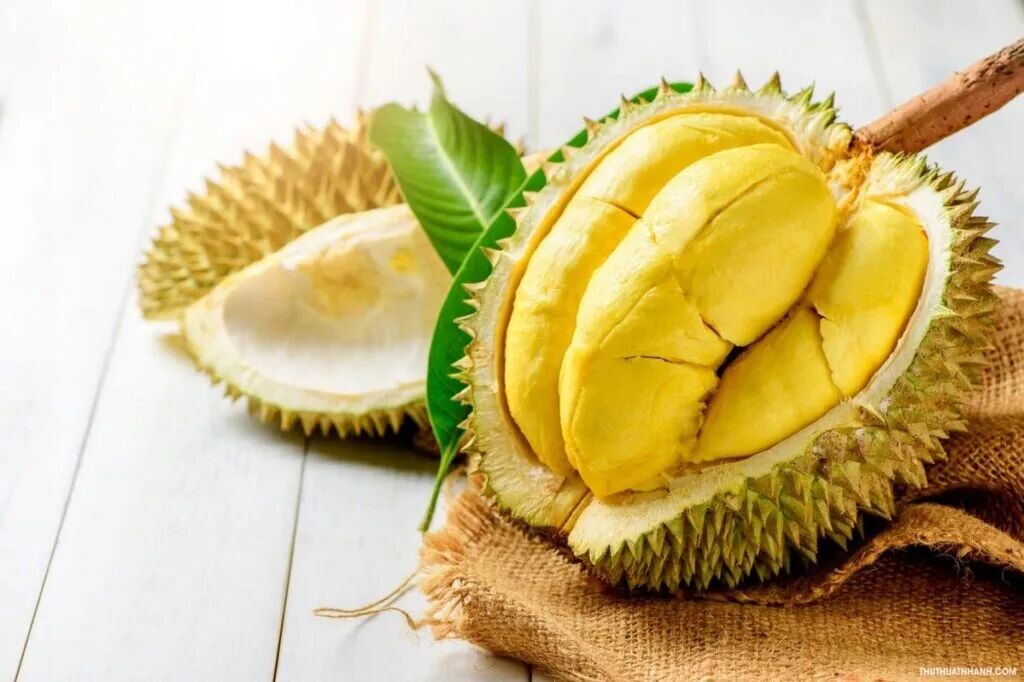 Durian Lam Dong
